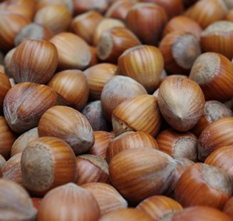 Hazelnut