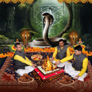 Kalasarpa Dosha Khandana Puja (କାଳସର୍ପ ଦୋଷ ଖଣ୍ଡନ ପୂଜା) Standard